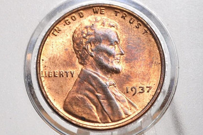 1937-D Wheat Penny - Choose by Grade, F-XF (Fine to Extremely Fine) Condition - Denver Mint - 1937 D Wheat Ear Cent / Wheat Back Cent 1937 D