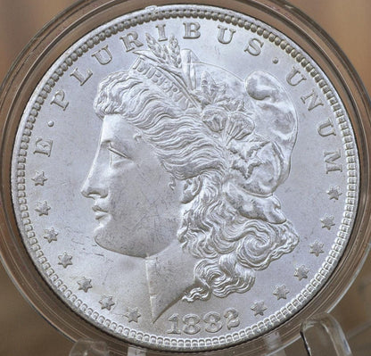 1882 Morgan Silver Dollar - XF-BU (Extremely Fine to Uncirculated) Choose by Grade 1882P Morgan Dollar 1882 Silver Dollar Philadelphia Mint