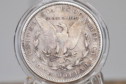 1901-S Morgan Silver Dollar - Choose by Grade / Condition - San Francisco Mint - 1901 S Morgan Dollar - 1901-S Silver Dollar