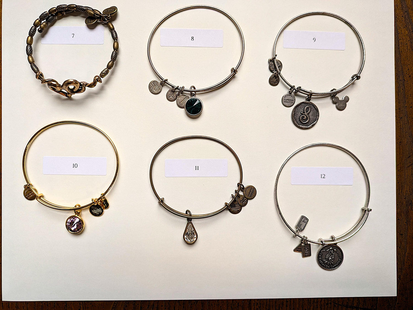 Alex and Ani and Similar Style Sterling Silver Bracelets - Choose by Bracelet - Animals, Spirituality, Stones and More