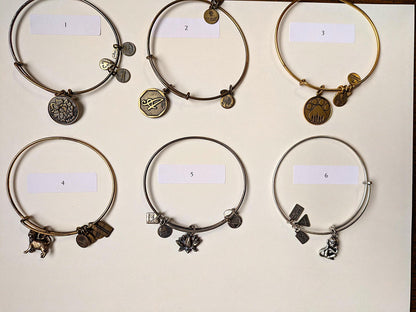 Alex and Ani and Similar Style Sterling Silver Bracelets - Choose by Bracelet - Animals, Spirituality, Stones and More