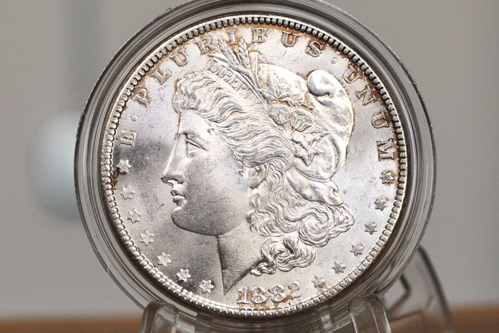 1882 Morgan Silver Dollar - Choose by Grade - 1882P Morgan Dollar 1882 Silver Dollar Philadelphia Mint