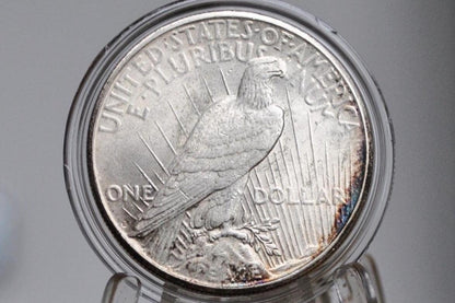 1924-S Peace Silver Dollar - Choose by Grade - 1924 S Silver Dollar - Lower Mintage - 1924S Silver Dollar Peace -San Francisco Mint