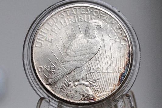1924-S Peace Silver Dollar - Choose by Grade - 1924 S Silver Dollar - Lower Mintage - 1924S Silver Dollar Peace -San Francisco Mint