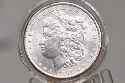 1891 Morgan Silver Dollar - Choose by Grade / Condition - 1891 P Morgan Dollar - 1891 Silver Dollar Philadelphia Mint -