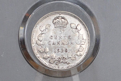 1920 Canadian Silver 5 Cent Coin - XF (Extremely Fine) Condition - King George - Canada 5 Cent 80% Silver 1920 Canada