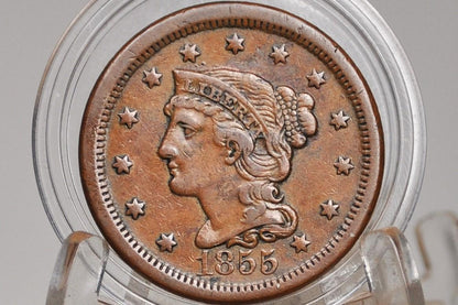 1855 Braided Hair Large Cent - Choose by Grade / Condition - 1855 Coronet Cent - 1855 US Large Cent - Braided Hair Upright 5