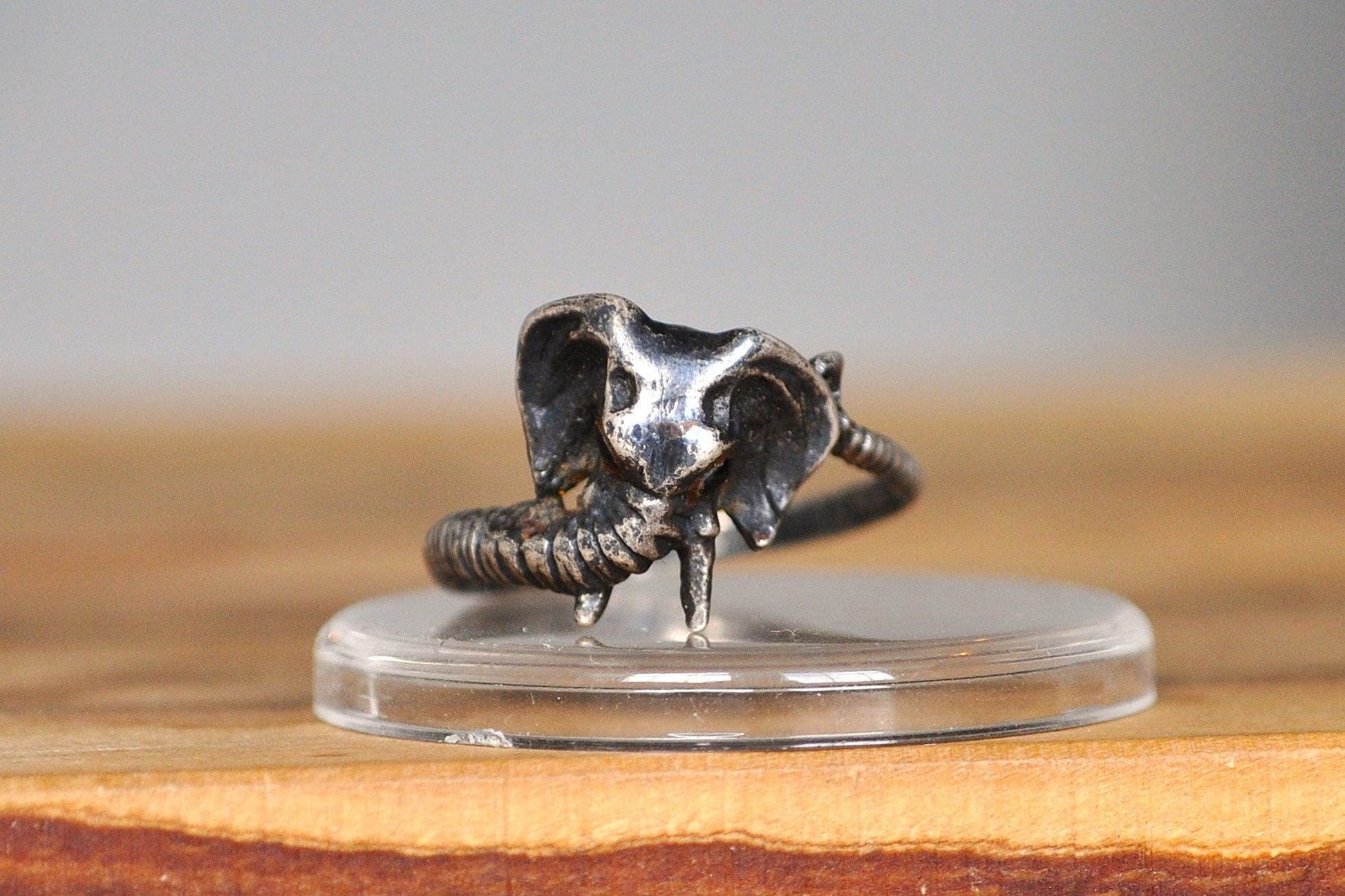 Stunning Sterling Silver Elephant Trunk Ring - Size 6 - Tested Sterling Silver - Tusked Elephant Trunk Ring