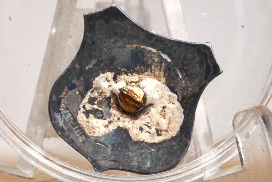 Sterling Silver Los Angeles County Forestry Department Pin - Stamped and Tested Sterling Silver - Broken Pin