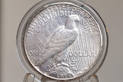 1925-S Peace Silver Dollar - Choose by Grade, VF-XF (Very to Extremely Fine) - San Francisco Mint - 1925 S Peace Dollar 1925 Silver Dollar