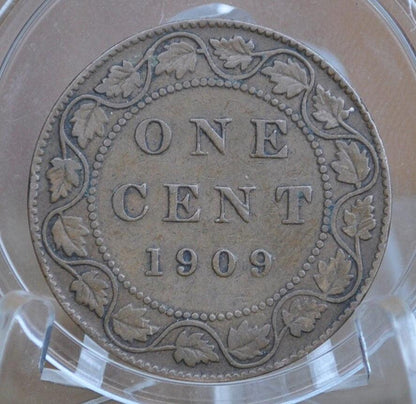 1909 Canadian Cent - Choose by Grade, F-XF (Fine to Extremely Fine) - Edward VII - One Cent Canada 1909 Large Cent - 1909 Canadian Penny