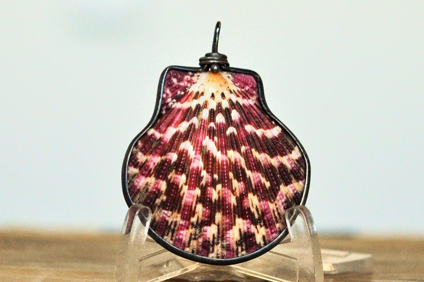 Clamshell Pendent Wrapped in Sterling Silver - 1.5 Inches - Sterling Silver Seashell Jewelry