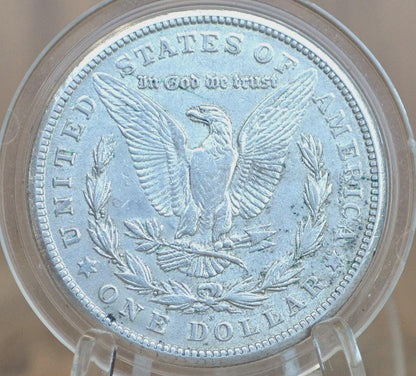 1921 Morgan Dollars P,D,S - Choose By Mint & Grade - 1921 S Morgan Silver Dollar 1921 D Silver Dollar 1921P Morgan Dollar 1921S
