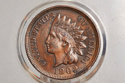 1902 Indian Head Penny - Choose by Grade / Condition - Great Detail - 1902 Indian Head Cent - Cent 1902 Penny