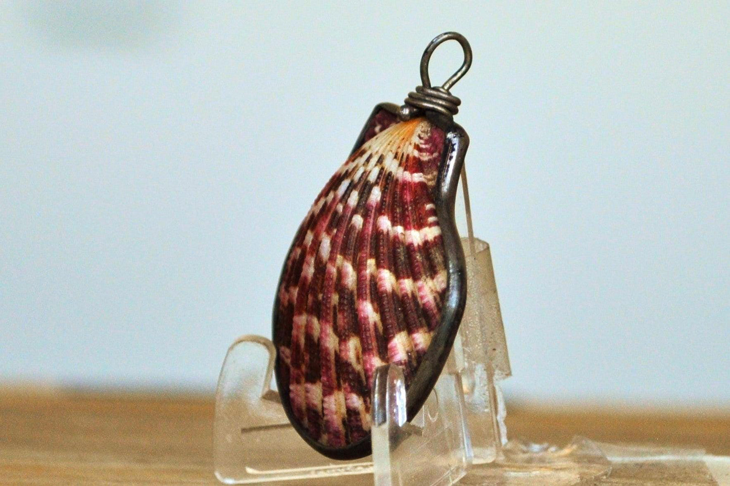 Clamshell Pendent Wrapped in Sterling Silver - 1.5 Inches - Sterling Silver Seashell Jewelry