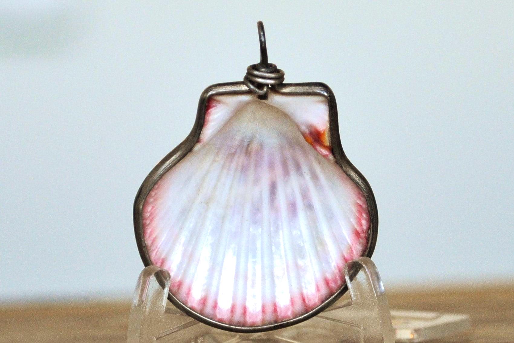 Clamshell Pendent Wrapped in Sterling Silver - 1.5 Inches - Sterling Silver Seashell Jewelry