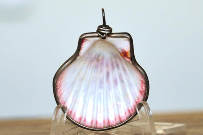 Clamshell Pendent Wrapped in Sterling Silver - 1.5 Inches - Sterling Silver Seashell Jewelry