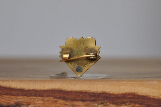 Gold Filled Masonic Gold Badge New York Pin - Stamped and Tested Gold Filled - Freemason Jewelry