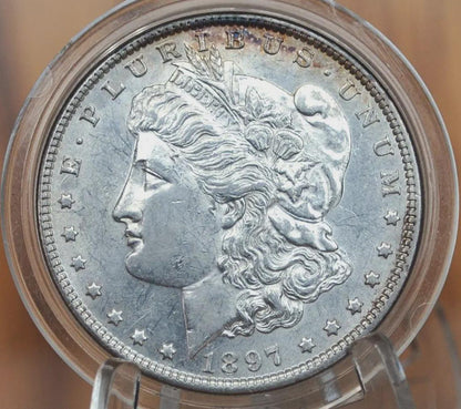 1897-S Morgan Dollar - Choose by Grade / Condition - San Francisco Mint - 1897 S Morgan Dollar - Morgan Silver Dollar
