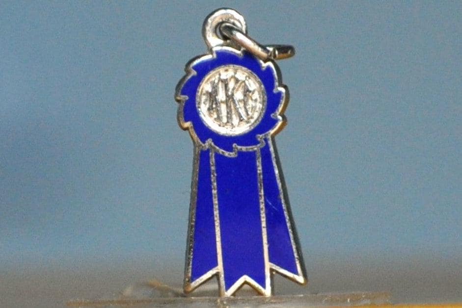 Silver American Kennel Club Charm - Stamped and Tested Sterling Silver - Dog Jewelry