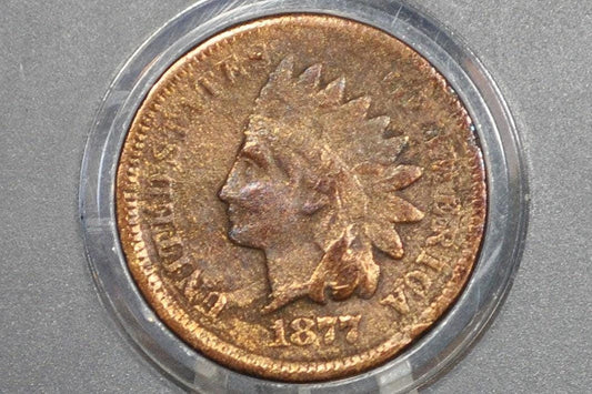 1877 Indian Head Penny - VG Details, Cleaned - The Key Date - 1877 US 1 Cent 1877