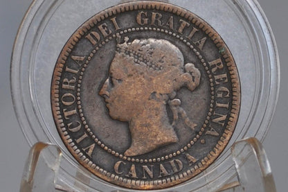 1884 Canadian Cent - Choose by Coin / Grade, Nice Coin - 1884 Penny Canada 1 Cent 1884