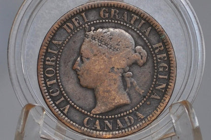 1884 Canadian Cent - Choose by Coin / Grade, Nice Coin - 1884 Penny Canada 1 Cent 1884
