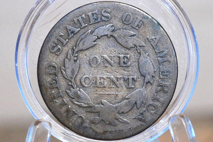 1825 Matron Head Large Cent - Better Date! - 1825 Liberty Head Cent - 1825 US Large Cent - Matron Head 1816 to 1835