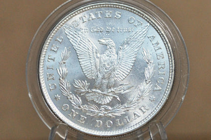 1878 Morgan Silver Dollar Eight Feathers - MS63 (Choice Unc.) - 1878 8 Tail Feathers Morgan 8 Tailfeather Variety 1878 P Morgan Silver