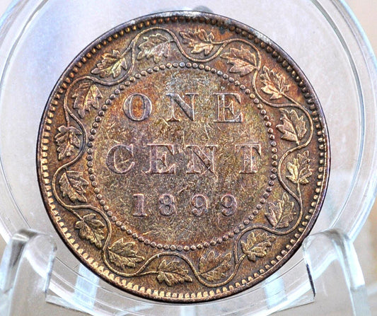 1899 Canadian One Cent - XF (Extremely Fine) Condition - Queen Victoria - One Cent Canada 1899 Large Cent - 1899 One Cent