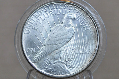 1934-D Peace Dollar - Choose by Grade - 1934 D Peace Silver Dollar - Denver Mint - Better Date & Mint - Silver Dollar 1934
