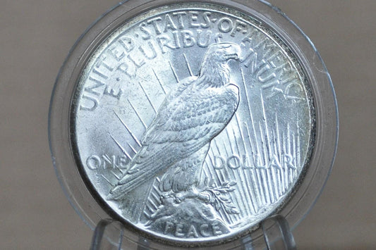 1927 Peace Silver Dollar - Choose by Grade / Condition -Philadelphia Mint- 1927 P Silver Dollar 1927P Peace Dollar Key Date