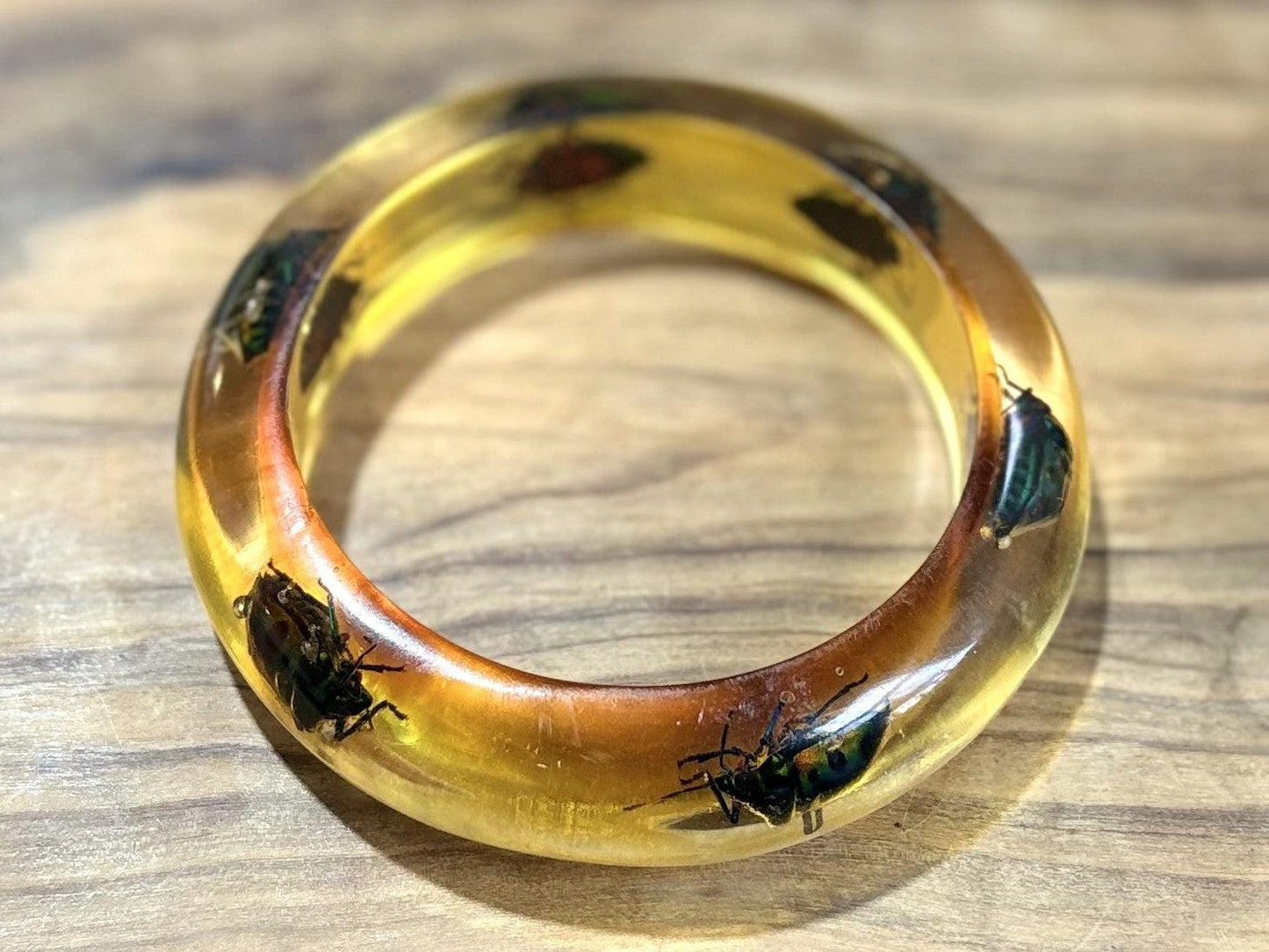 Jewel Beetle Insect Bangle Lucite Bracelet - Antique Chrysocoris stollii Entomology Cuff Bracelet