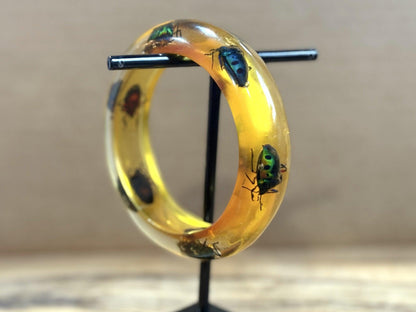 Jewel Beetle Insect Bangle Lucite Bracelet - Antique Chrysocoris stollii Entomology Cuff Bracelet