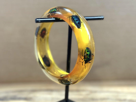 Jewel Beetle Insect Bangle Lucite Bracelet - Antique Chrysocoris stollii Entomology Cuff Bracelet