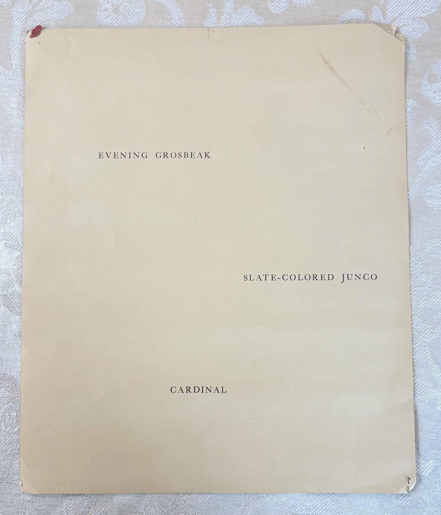 Walter A. Weber Vintage Bird Print 1933 Evening Grosbeak, Slate-Colored Junco, and Cardinal - Vintage Walter Weber Art Print: Grosbeak, Junc