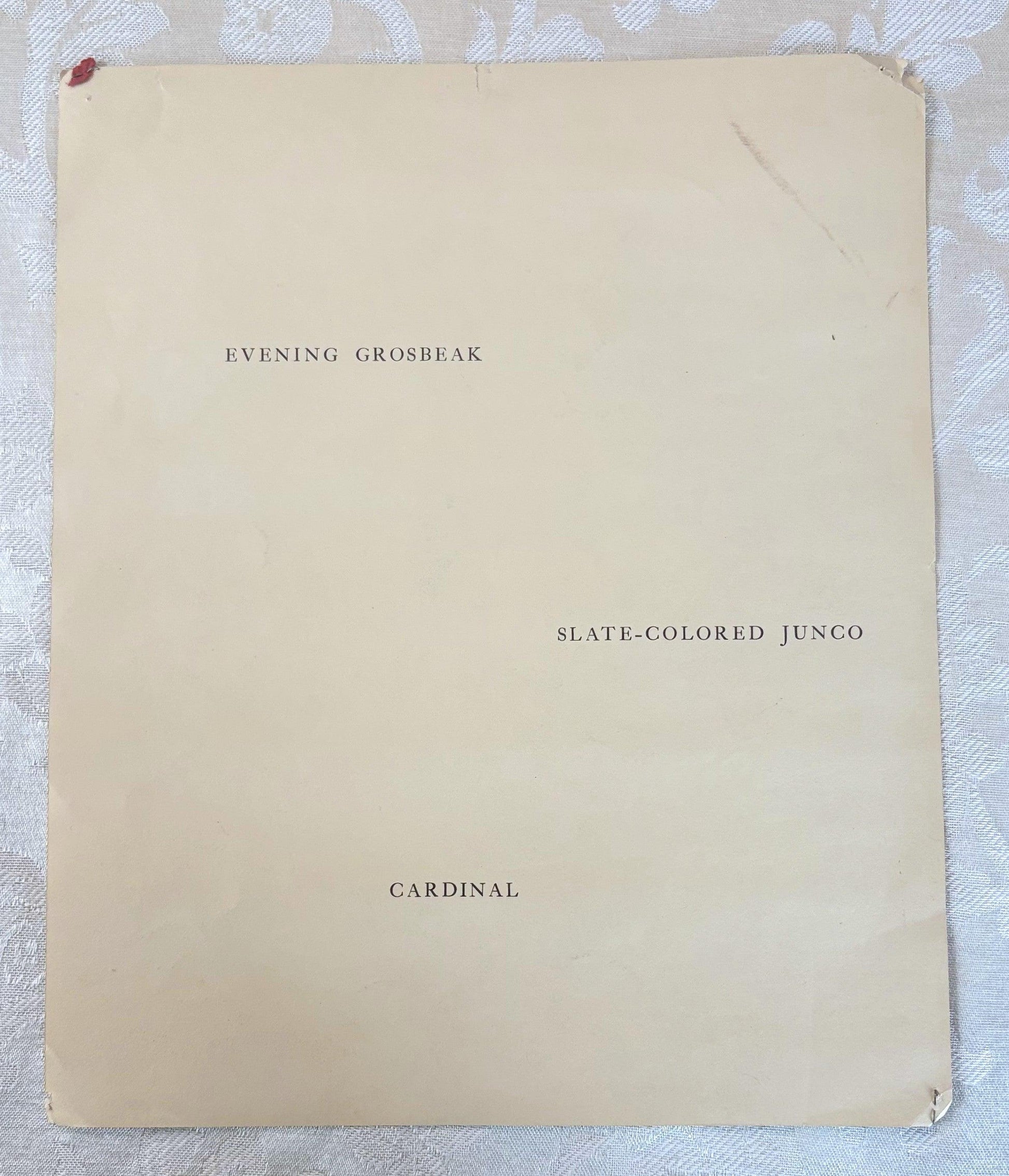 Walter A. Weber Vintage Bird Print 1933 Evening Grosbeak, Slate-Colored Junco, and Cardinal - Vintage Walter Weber Art Print: Grosbeak, Junc