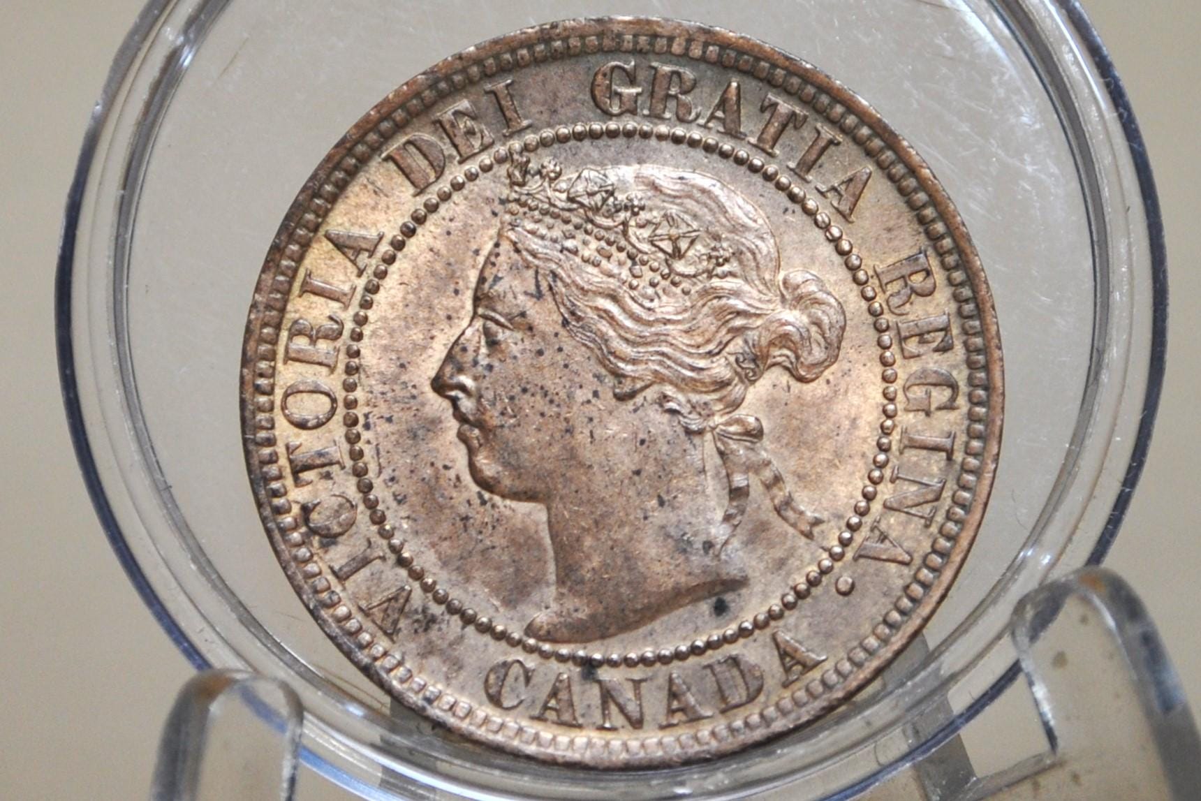 1899 Canadian One Cent - XF (Extremely Fine) Condition - Queen Victoria - One Cent Canada 1899 Large Cent - 1899 One Cent