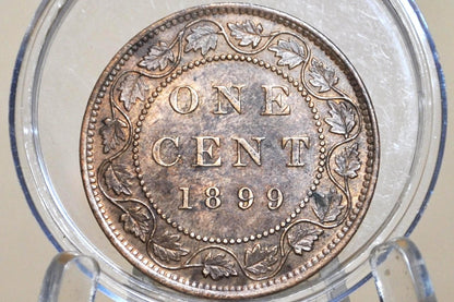 1899 Canadian One Cent - XF (Extremely Fine) Condition - Queen Victoria - One Cent Canada 1899 Large Cent - 1899 One Cent