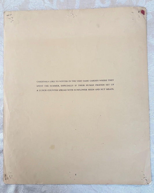 1942 Jacob Bates Abbott Northern Cardinal Vintage Print, Birds at Home Lithograph Book Plate - Vintage 1940s Red Cardinal Bird Illustration