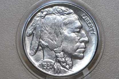 1937 Buffalo Nickel - Chose by Grade VF-BU (Very Fine to Uncirculated) Grades; - Philadelphia Mint - Indian Head Nickel 1937 P Nickel
