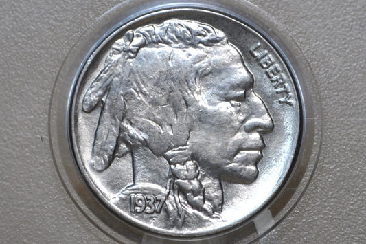 1937 Buffalo Nickel - Chose by Grade VF-BU (Very Fine to Uncirculated) Grades; - Philadelphia Mint - Indian Head Nickel 1937 P Nickel