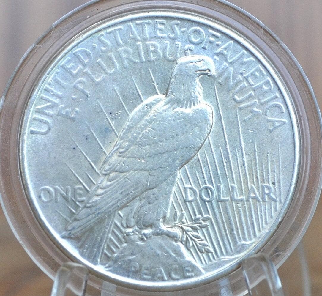1935 Peace Silver Dollar - Choose by Grade - Philadelphia Mint - 1935 P Peace Dollar -Last Year Produced- 1935P Silver Dollar 1935