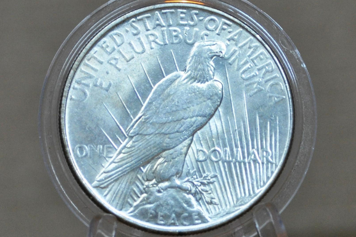 1934 Peace Dollar - Choose by Grade - 1934 P Peace Silver Dollar - Philadelphia Mint - Better Date & Mint Silver Dollar 1934 P