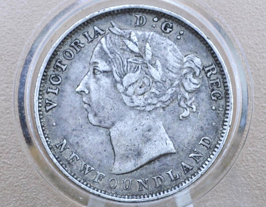 1899 Newfoundland 20 Cent Coin - XF (Extremely Fine) Grade / Condition - Queen Victoria - Twenty Cents Newfoundland 1899 Silver