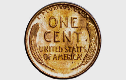 1934 Wheat Pennies, P&D Mints - Choose by Mint and Grade - 1934 Wheat Ear Cent 1934 D Wheat Back Penny 1934