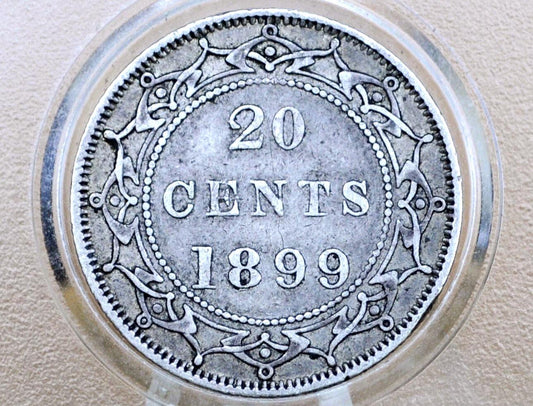 1899 Newfoundland 20 Cent Coin - XF (Extremely Fine) Grade / Condition - Queen Victoria - Twenty Cents Newfoundland 1899 Silver