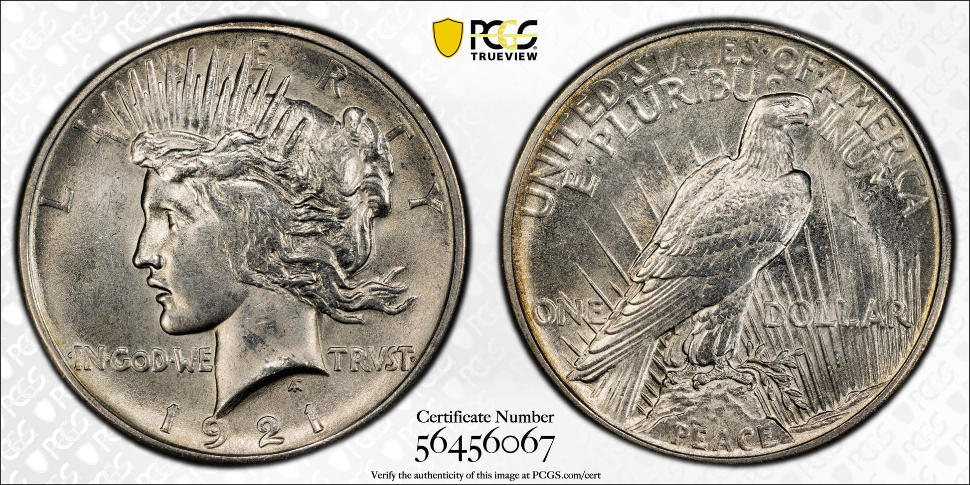 1921 Peace Silver Dollar -Choice Unc. Details - 1921 High Relief Peace Dollar Silver - Very High Grade, Key Date