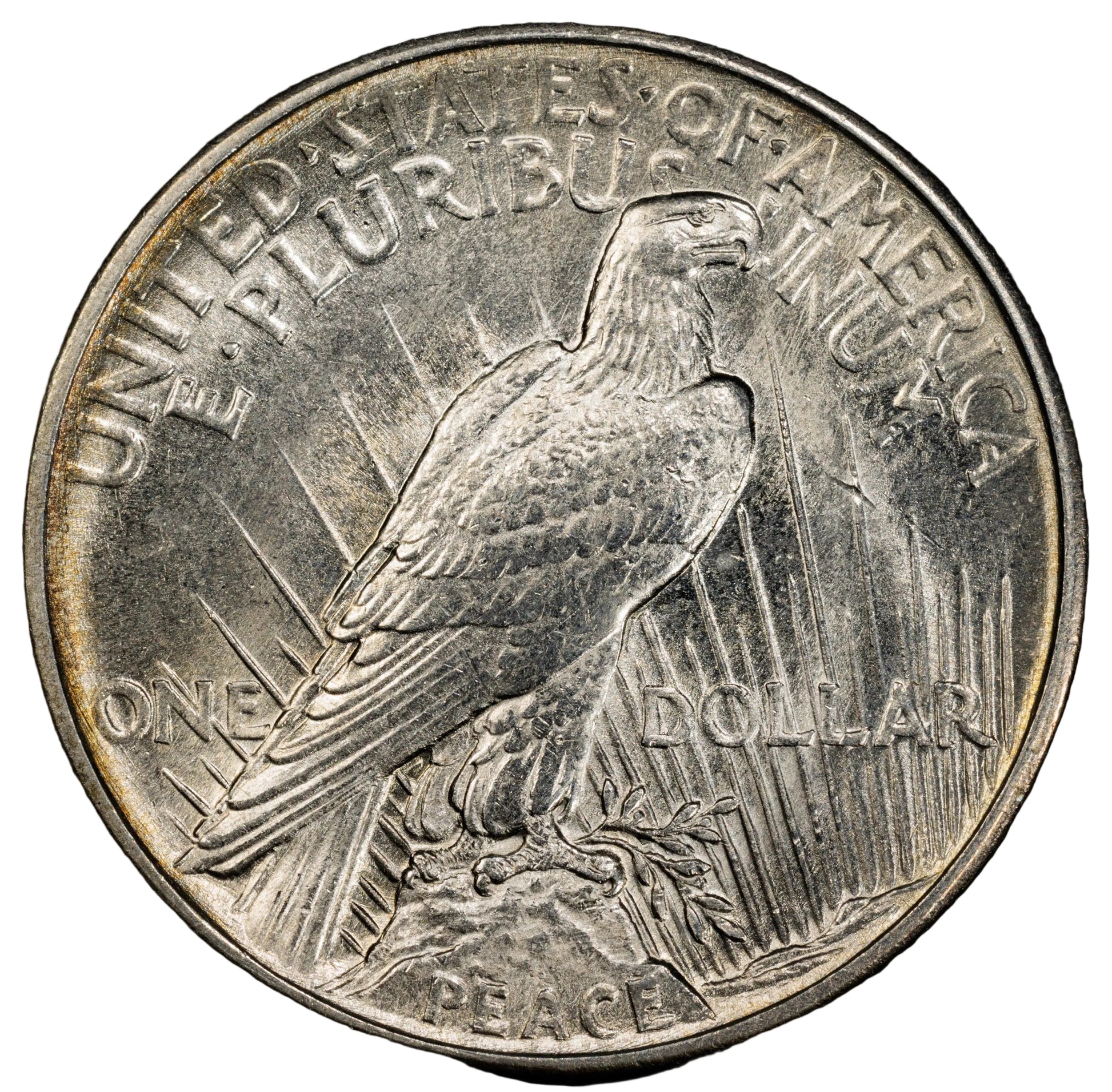 1921 Peace Silver Dollar -Choice Unc. Details - 1921 High Relief Peace Dollar Silver - Very High Grade, Key Date