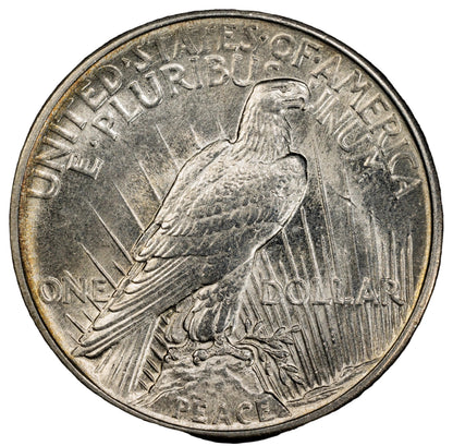 1921 Peace Silver Dollar -Choice Unc. Details - 1921 High Relief Peace Dollar Silver - Very High Grade, Key Date